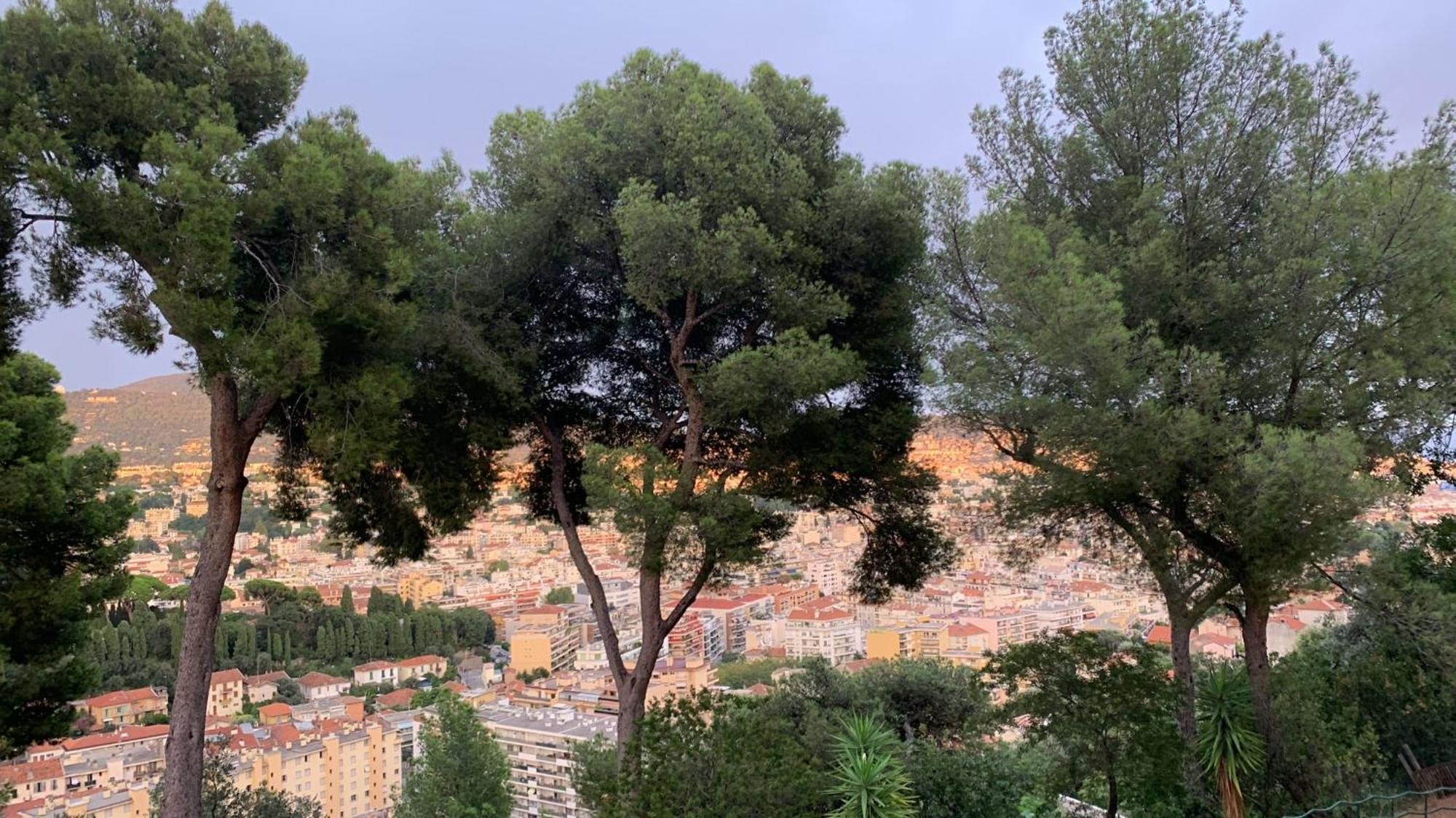 Chambre D Hote Avec Clim Terrasse Et Petit Dejeuner Hauteurs De Nizza Exterior foto