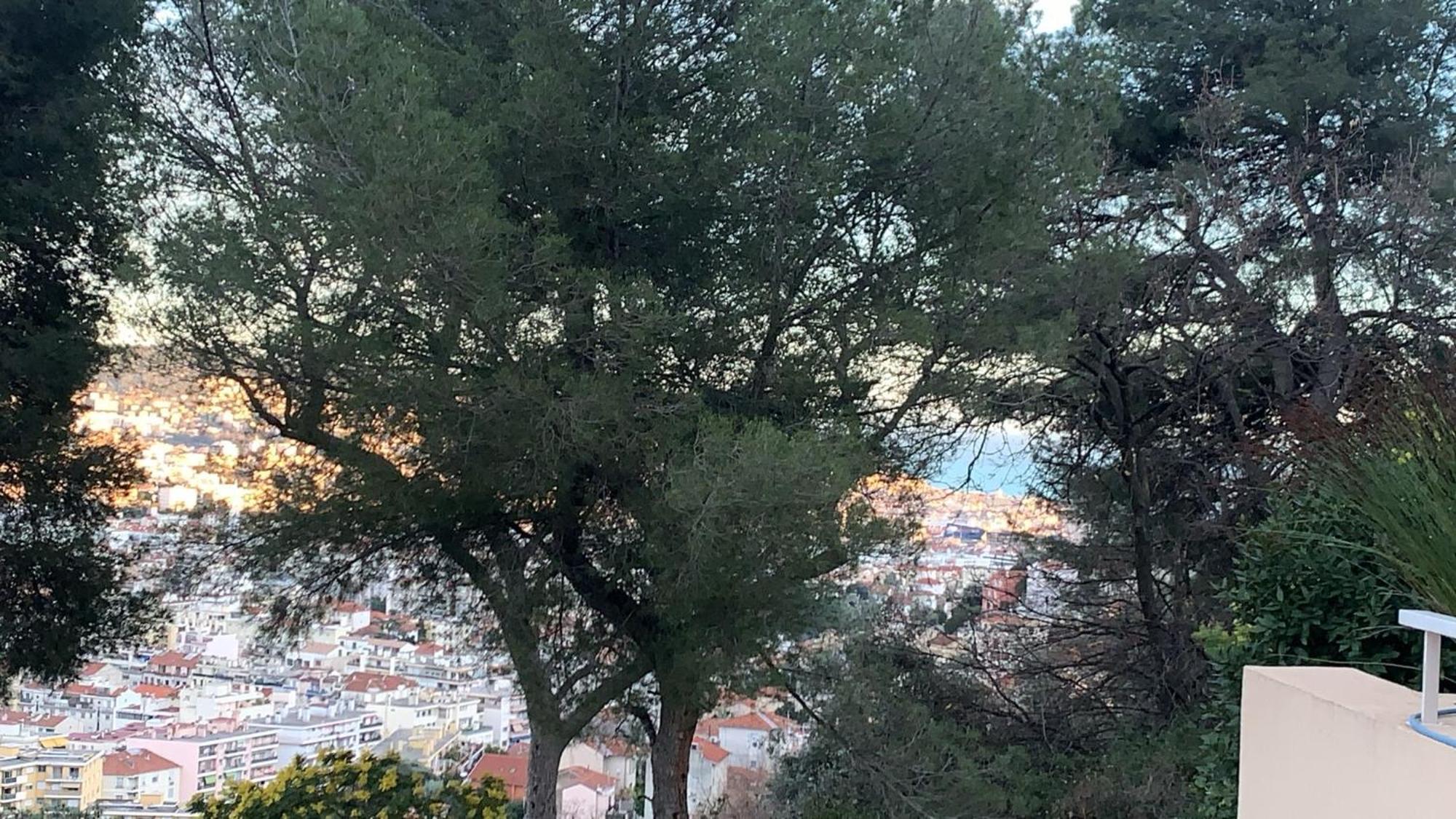 Chambre D Hote Avec Clim Terrasse Et Petit Dejeuner Hauteurs De Nizza Exterior foto
